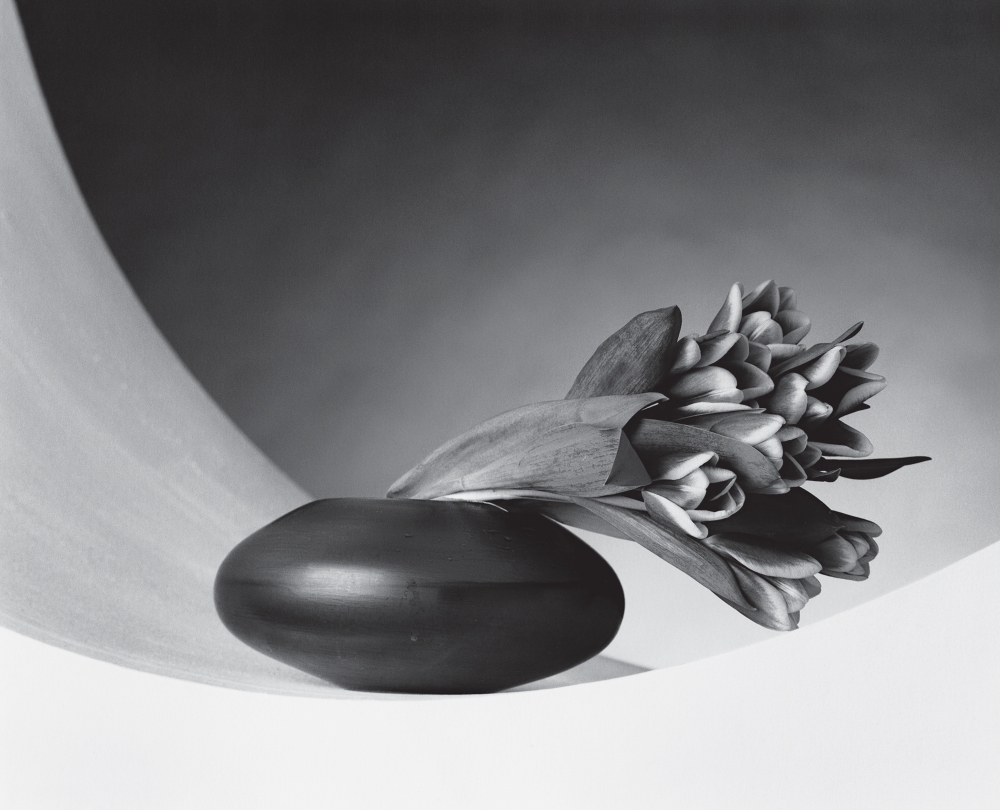 Tulips leaning out of right side of a low black vase.