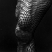 Muscular leg in fishnets.