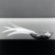 Feathers and Eggs, 1985