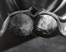 Two coconuts with cloth draped over.