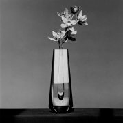 A stem with six orchids in a thick geometric glass vase which reflects light and rests on a black tabletop in front of a grey background.