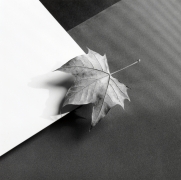 Leaf on corner of table.