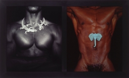 Two images of a muscular man side by side in a black frame. On the left, from chin to waist, and wearing a diamond necklace in the shape of a lizard; on the right, from shoulders to hips with a diamond elephant brooch resting above his navel.