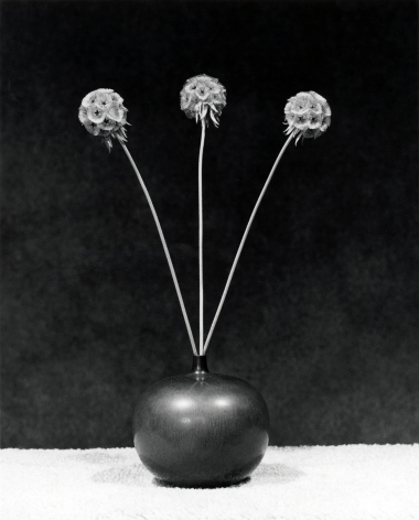 Three long-stemmed round flowers extending out of a short, wide black pottery vase sitting on a textured white cloth against a black background.