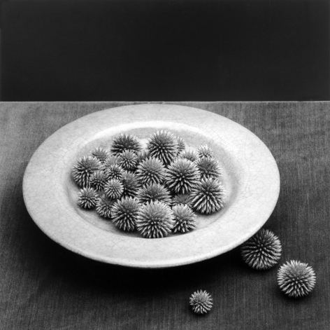 Pods in a circular plate, with three on table.