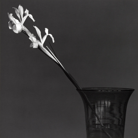 Two irises in an oversized ridged glass vase leaning to the left of the image in front of a dark grey background.