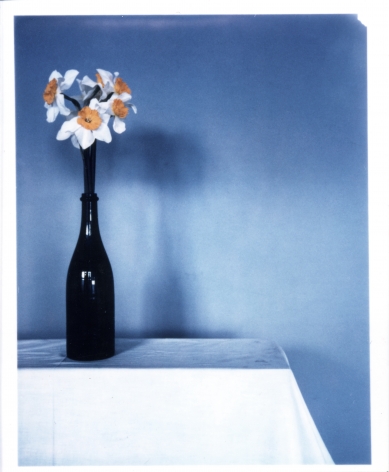 Bunch of daffodils in a wine bottle sitting on a white tablecloth in front of a blue background.