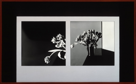 Two images of tulips in a light grey border framed in a wooden frame with a black mat.