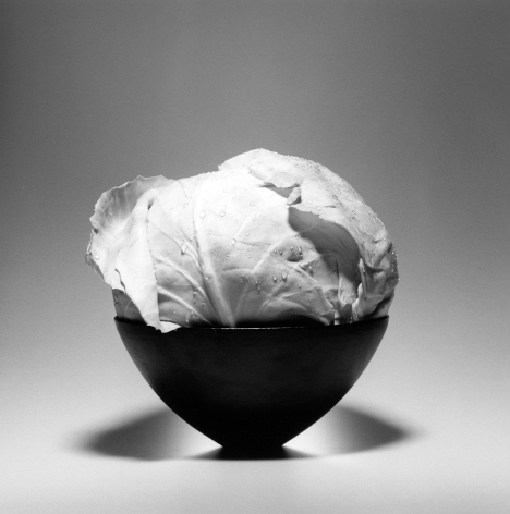 Whole head of cabbage in elegant black bowl against light gray background.