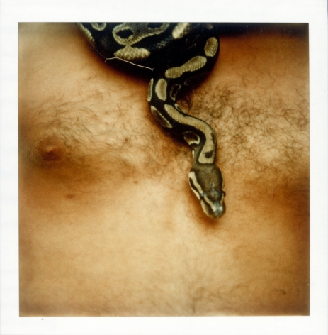 Untitled, 1975, Polaroid