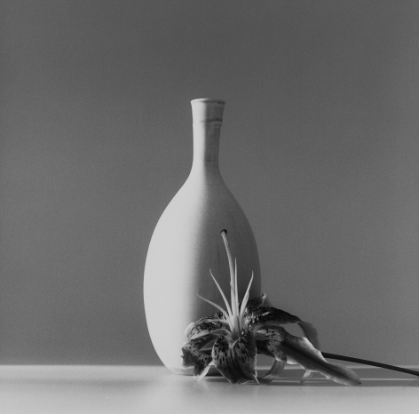 Flower sitting on a white surface in front of a white curved vase.