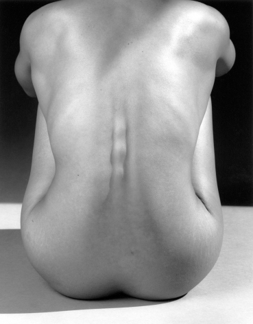 Nude woman sitting from behind, back bent, cropped at shoulders.