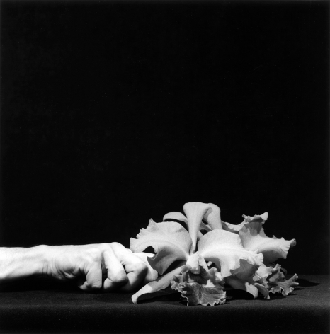 Orchid and Hand, 1983
