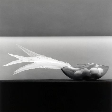 Feather and Eggs, 1985