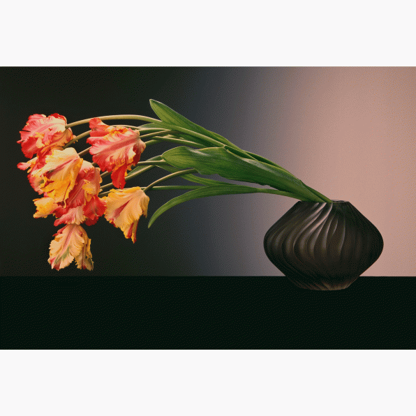 Yellow and red tulips in black vase