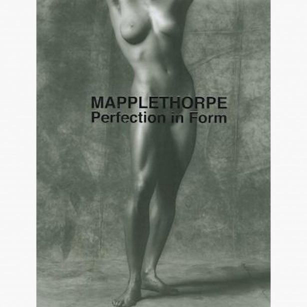 Mapplethorpe Perfection in Form