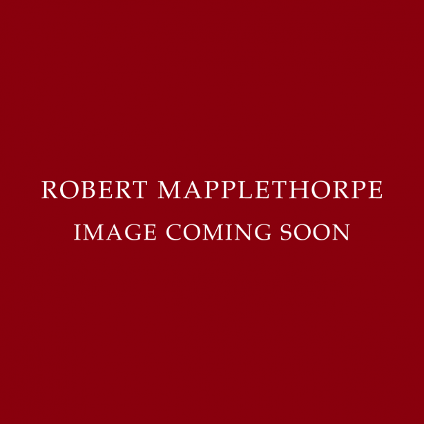 Robert Mapplethorpe: Pictures